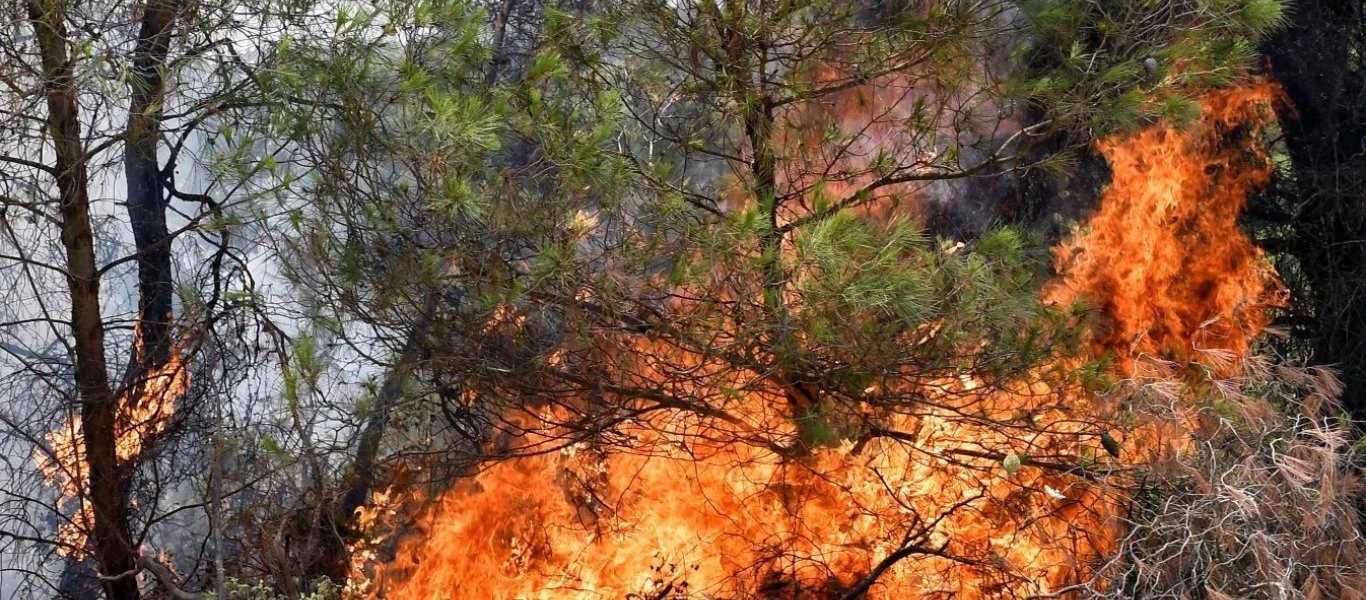 Τέθηκε υπό πλήρη έλεγχο η φωτιά στην Κω (upd2)